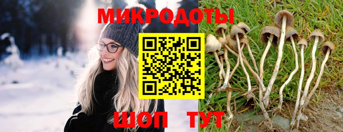 Псилоцибиновые грибы прущие грибы  Вход с VPN  Павлово  Галлюциногенные грибы мицелий 