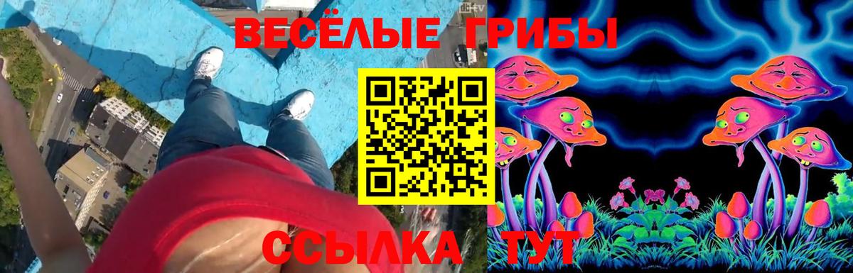 Галлюциногенные грибы MAGIC MUSHROOMS Павлово